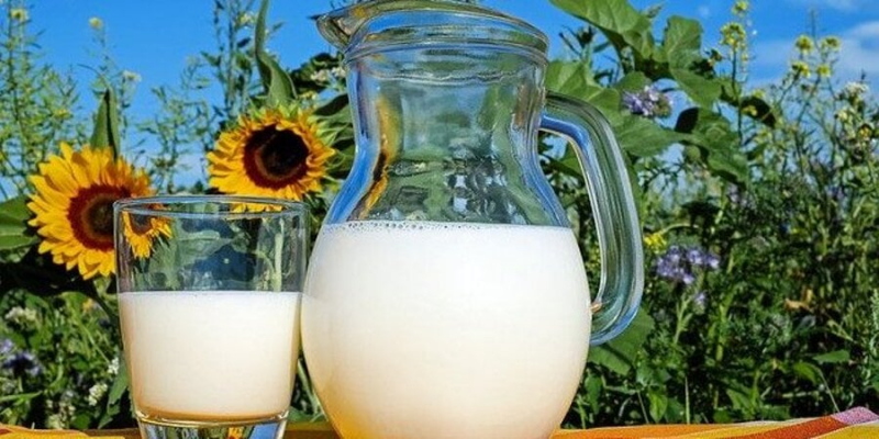 Основні споживачі виїхали. В Україні майже на третину знизилося споживання молока
