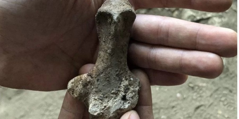 Доісторичне мистецтво. В італійській печері знайдено глиняну фігурку віком 7 тис. років
