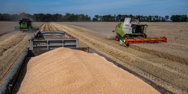 Експорт через зерновий коридор за минулий тиждень скоротився на 33% - УКАБ