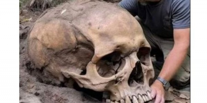 Креаціоністи заявили, що знайшли череп Голіафа — але є кілька важливих але