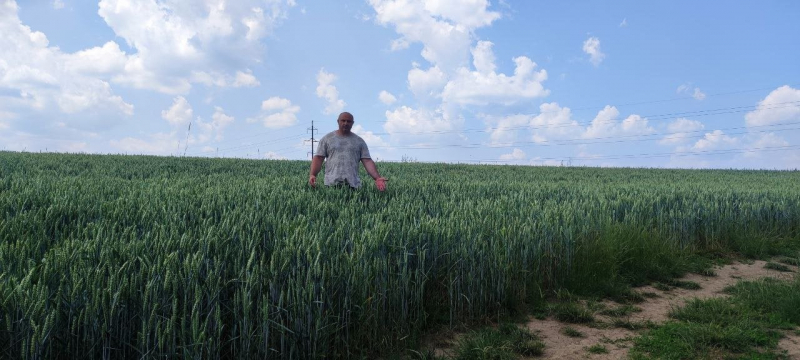 Партнерський проєкт: «Ми маємо працювати». Як фермер із Чернівецької області не зупинився попри війну та блокаду Одеських портів